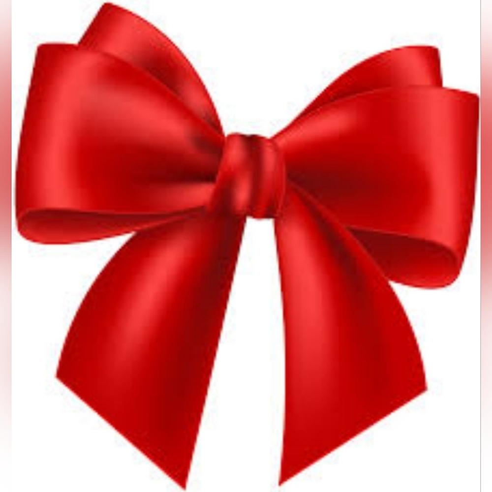 2 LEFT! Women's Satin Bow Lingerie NIP